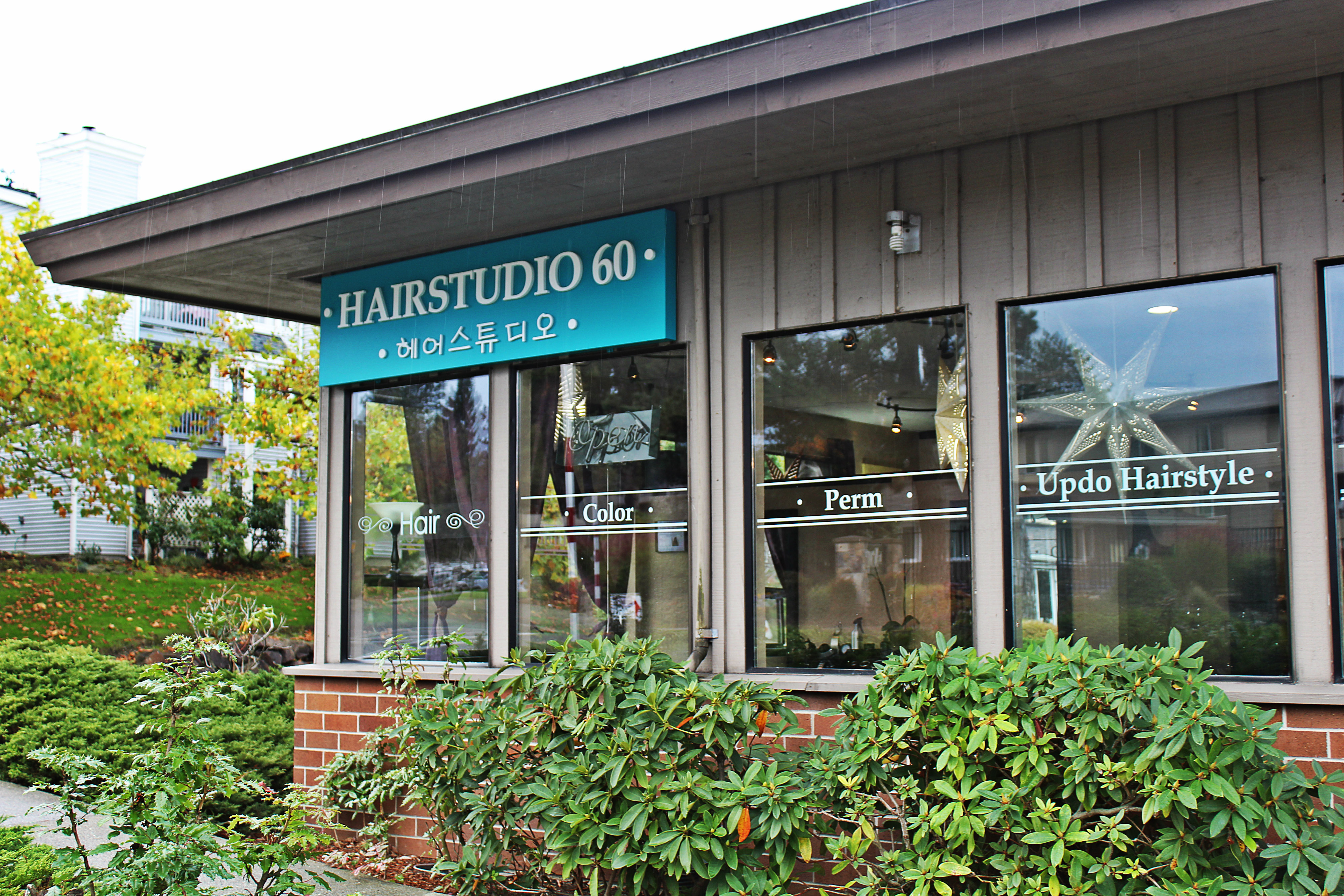 Hairstudio 60